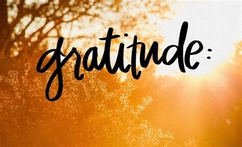 Gratitude 